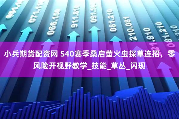 小兵期货配资网 S40赛季桑启萤火虫探草连招，零风险开视野教学_技能_草丛_闪现
